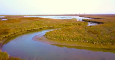 Sarmal nehir, karayoluna karşı karadaki çalılıkları yansıtır.