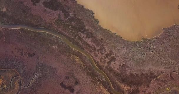 Wenecka laguna z krętymi kanałami wśród dużych terenów piaszczystych — Wideo stockowe