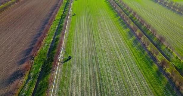 Speciaal geïnstalleerde irrigatiesystemen op plantaardige velden — Stockvideo