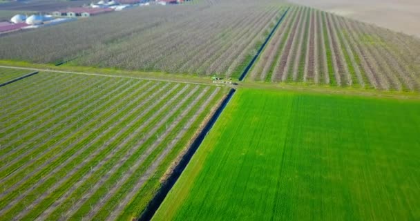 Jugosos campos de rayas verdes cruzan por canales en primavera — Vídeo de stock