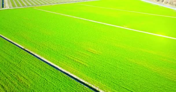 Saftige grüne Felder umgeben von langen Bewässerungskanälen — Stockvideo