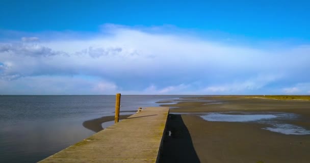 Turista híddal és kilátóval rendelkező móló sekély tengerrel — Stock videók