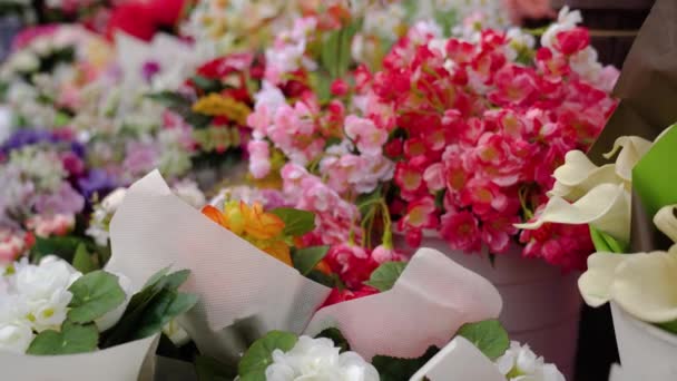 Flores en macetas y ramos envueltos en papel en tienda — Vídeos de Stock