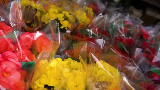 Ramos de flores de colores en plástico transparente envoltura de regalo — Vídeos de Stock