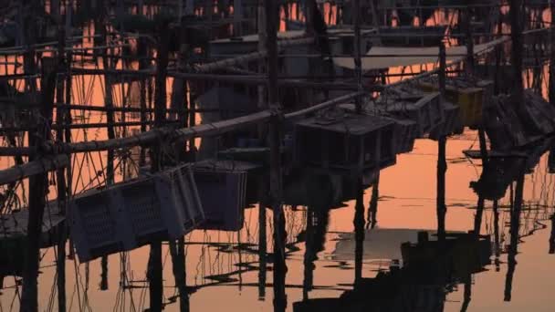Контейнеры с рыбой, висящей на столбах в воде — стоковое видео