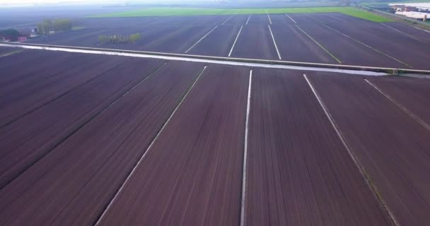 Freshly worked fields with water channels on the sides — Stock Video