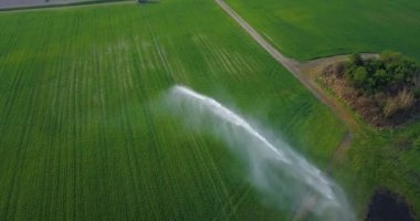 Yeşil alana bir su püskürtülür.