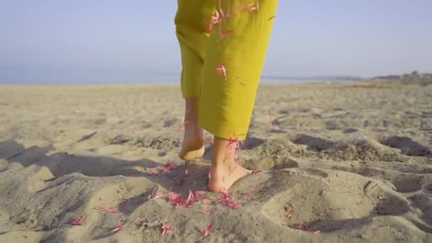 Feet of girl walking and rose petals flying up — Stock Video