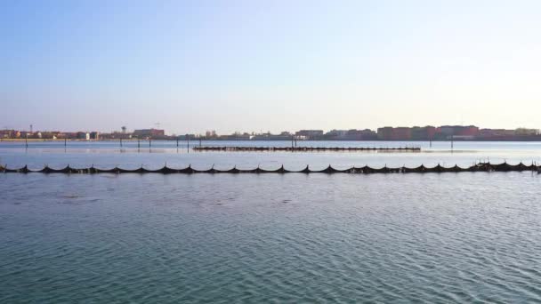 Redes de pesca en medio de un río frente a la ciudad — Vídeos de Stock