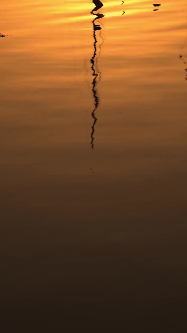 Reflecties van de paal in het water bij zonsondergang — Stockvideo