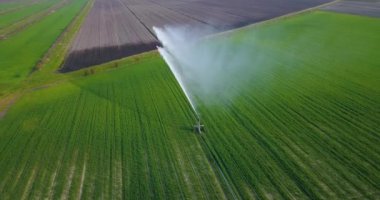 Yeşil alana bir su püskürtülür.