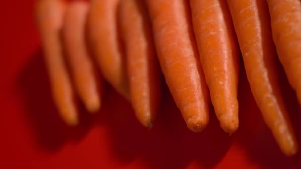 Carottes savoureuses reposant sur fond rouge — Video