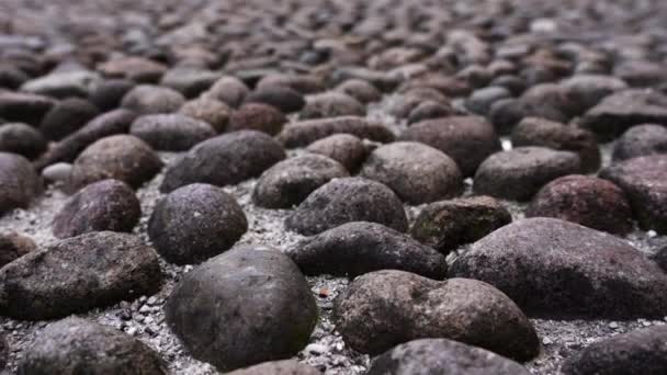 Camino interminable jardín de guijarros con grandes piedras oscuras primer plano — Vídeo de stock