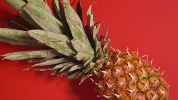 Kırmızı yüzeyde dinlenen ananas — Stok video