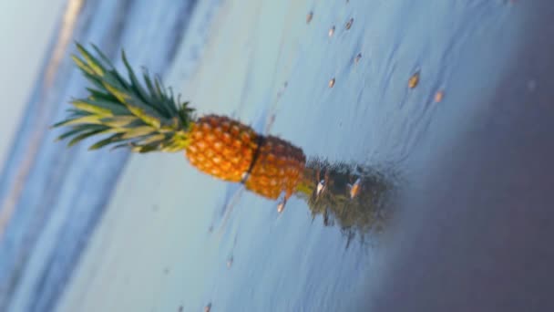 Ananas umístěný na mokré pláži s krásnými odrazy — Stock video