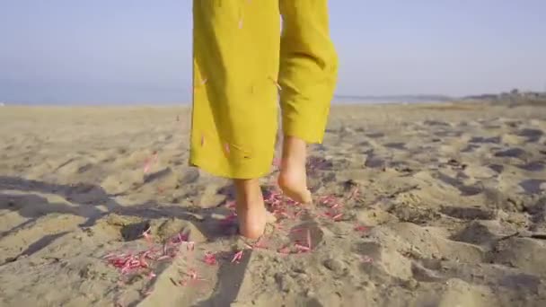 Lábak a lány séta és rózsaszirmok repül fel — Stock videók