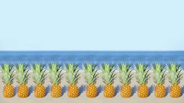 De nombreux ananas alignés sur la plage de la mer bleue — Video