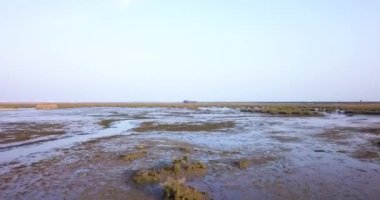 Çamurlu ve yeşillikli güzel bir göl.