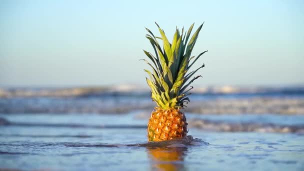 L'ananas è immerso dall'onda del mare al rallentatore — Video Stock