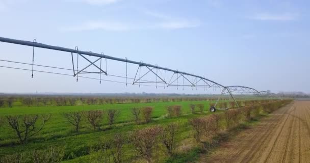 Rohre für Bewässerungssysteme zwischen gepflügten Feldern installiert — Stockvideo