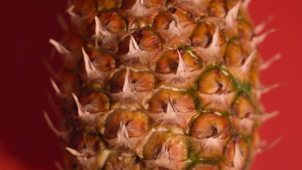 Gustoso ananas appoggiato sul pavimento rosso — Video Stock