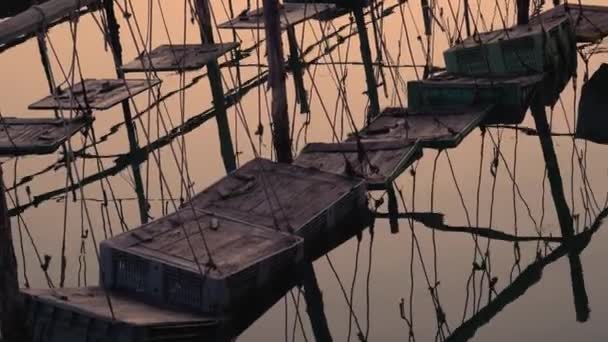 Conteneurs avec des poissons suspendus sur des poteaux dans l'eau — Video