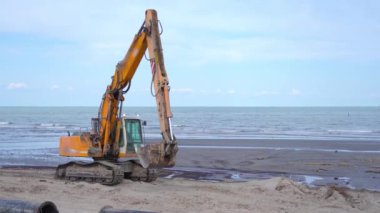 Sürüngen kazıcı sahilde hareket ediyor.