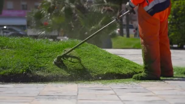 Een arbeider maait gras met grasmaaier — Stockvideo