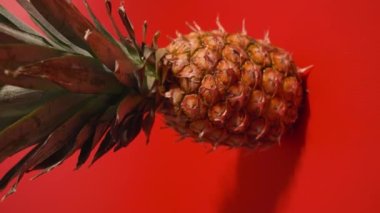 Kırmızı zeminde ananas dinleniyor.
