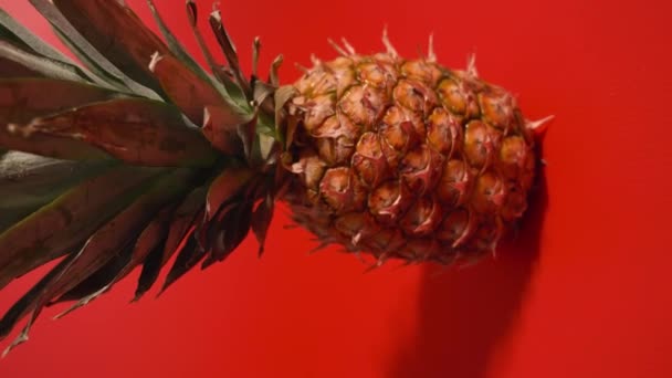 Pineapple resting on the red floor — Stock Video