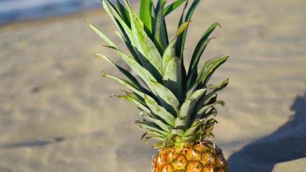 Gustoso ananas sulla sabbia illuminata della spiaggia — Video Stock
