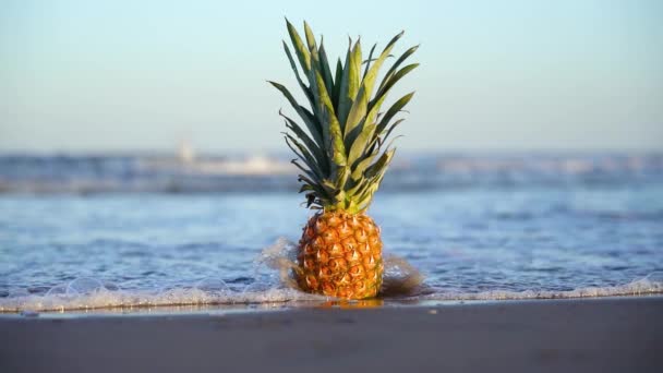 Meer bedeckt in Zeitlupe eine Ananas im Sand — Stockvideo