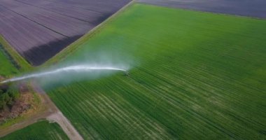 Yeşil alana bir su püskürtülür.