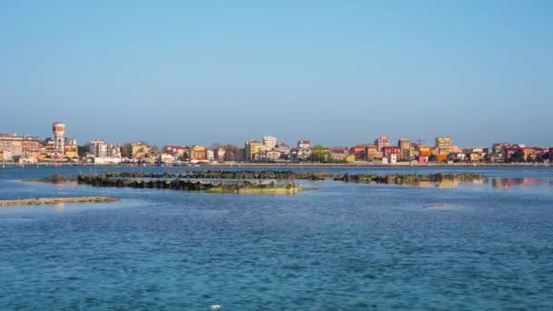 Fischernetze ragen aus dem Wasser der Lagune von Venedig — Stockvideo