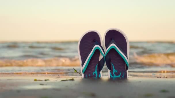 Slippers in het zand van het strand aan zee — Stockvideo