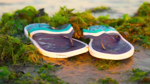 Flip flops på stranden bland gröna alger — Stockvideo