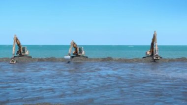 Kazıcılar deniz kıyısında çalışıyor.