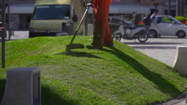 Långsam rörelse skärning av gräset i staden — Stockvideo