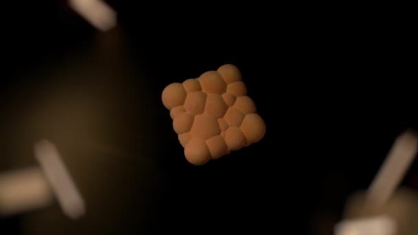 Gâteau savoureux sur un fond noir éclairé par des lumières colorées — Video