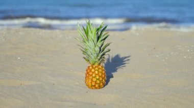 Deniz kenarında güneşli bir günde kumsalda ananas.