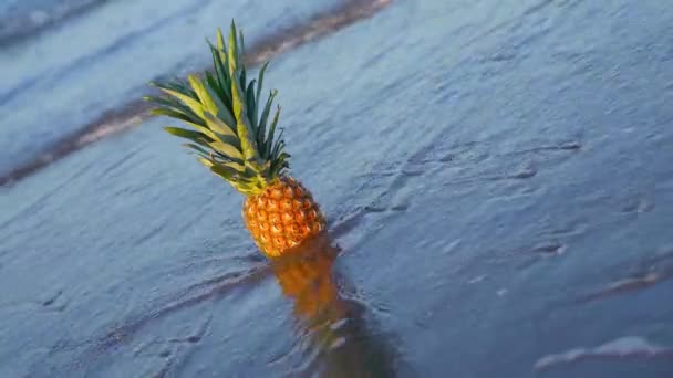 Les vagues de la mer baignent les ananas sur le sable — Video