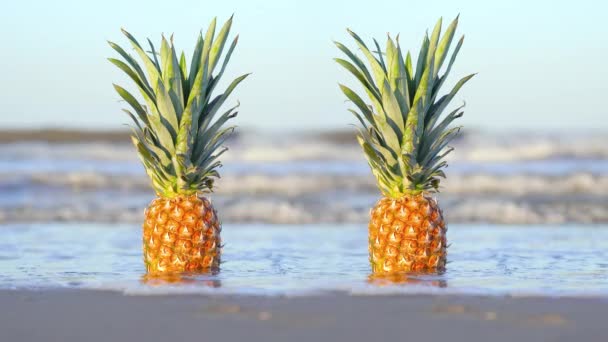 Ananas sur le sable mouillé à la mer — Video