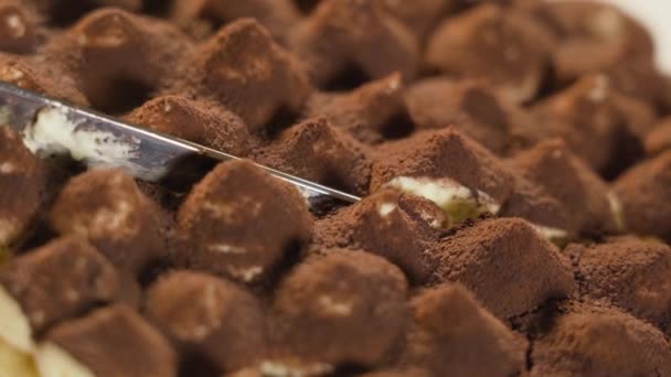 Tiramisu taart wordt gesneden met het mes — Stockvideo