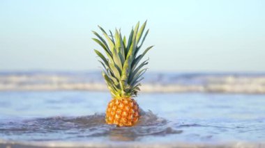 Deniz ağır çekimde kaplanır kumdaki bir ananas