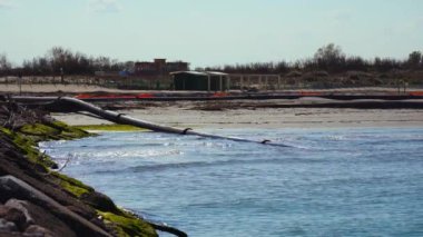 Beslenme hortumu denizden çıkar ve sahile gider.