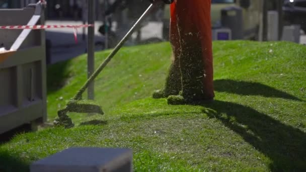 Långsam rörelse skärning av gräset i staden — Stockvideo