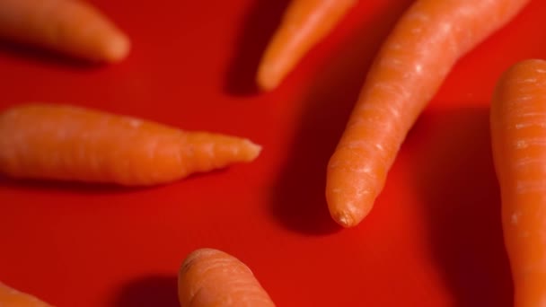 Sabrosas zanahorias naranjas sobre un fondo rojo — Vídeos de Stock