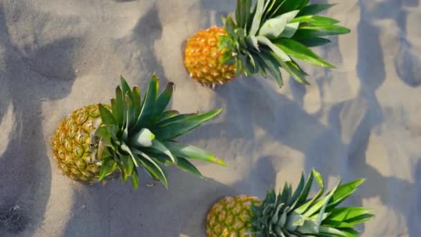 Tre ananas på sanden — Stockvideo