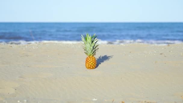 Deniz kenarında güneşli bir günde kumsalda ananas. — Stok video