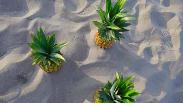 Tre ananas sulla sabbia — Video Stock